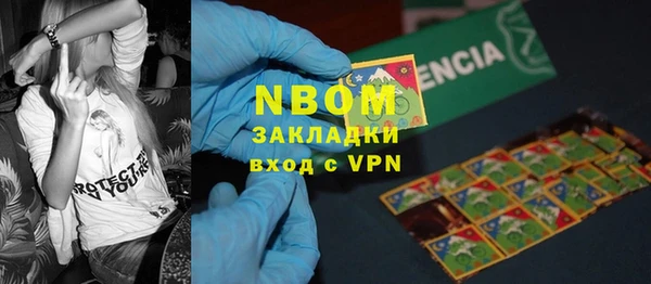индика Володарск
