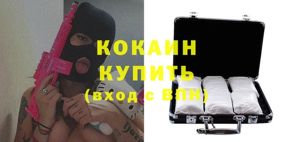 индика Володарск