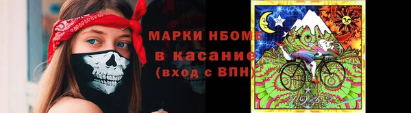 индика Володарск