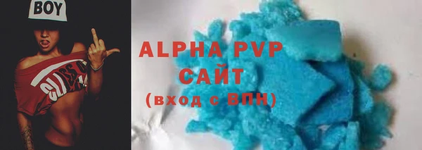 индика Володарск