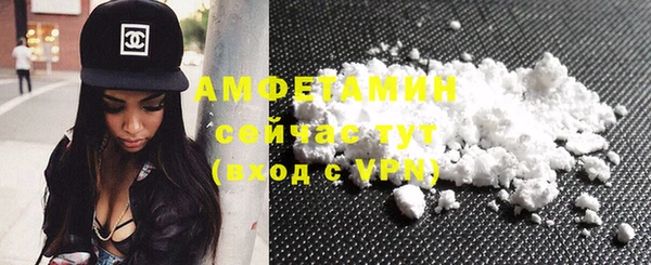 индика Володарск