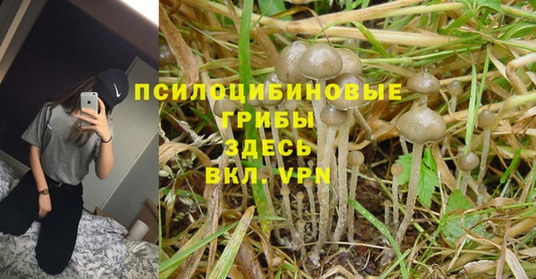 ГАЛЛЮЦИНОГЕННЫЕ ГРИБЫ Волоколамск