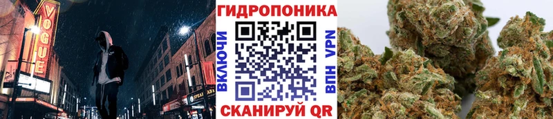 МАРИХУАНА Amnesia  Новосокольники 